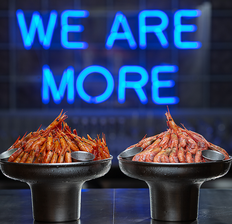 MORE seafood bar