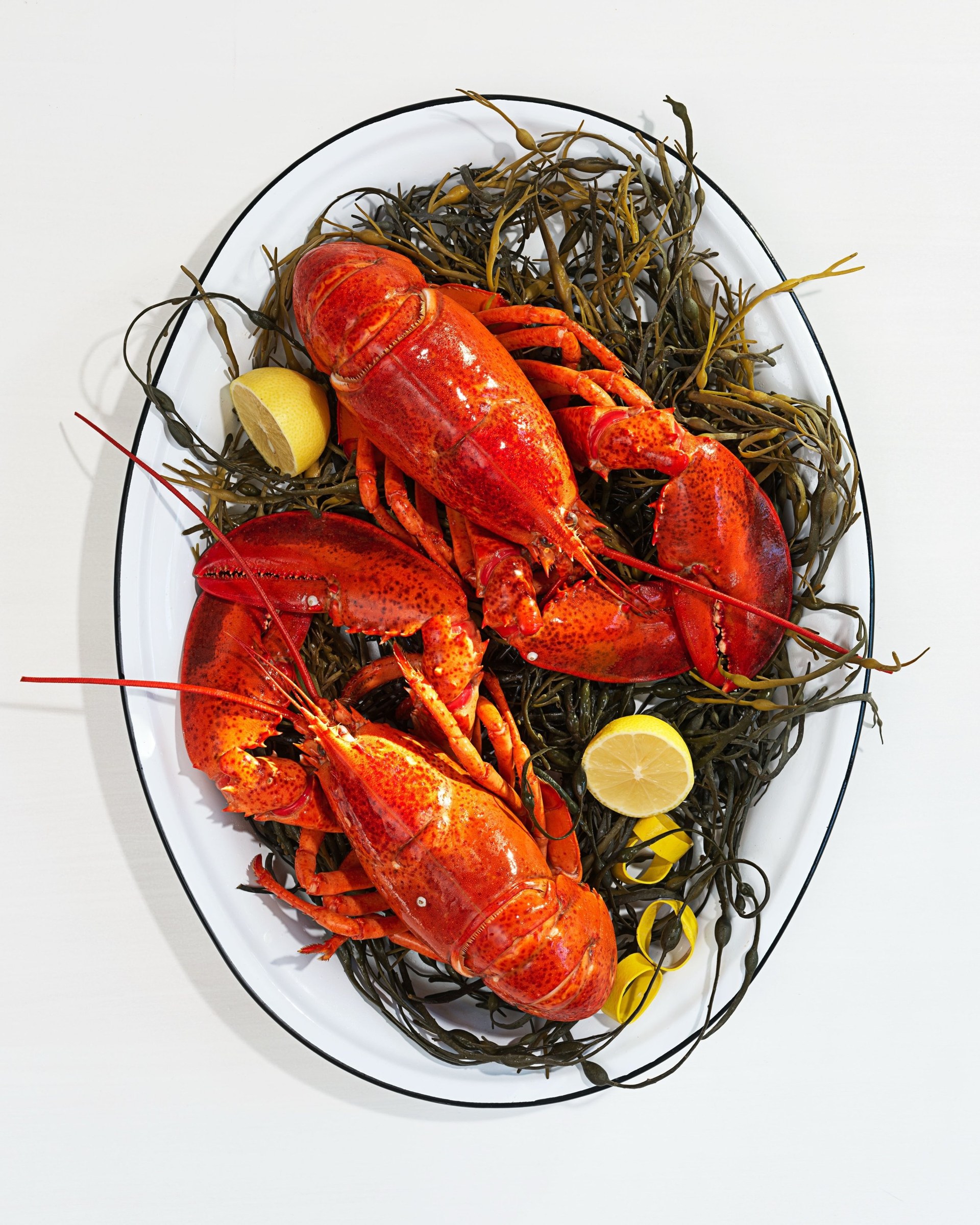 Whole lobsters