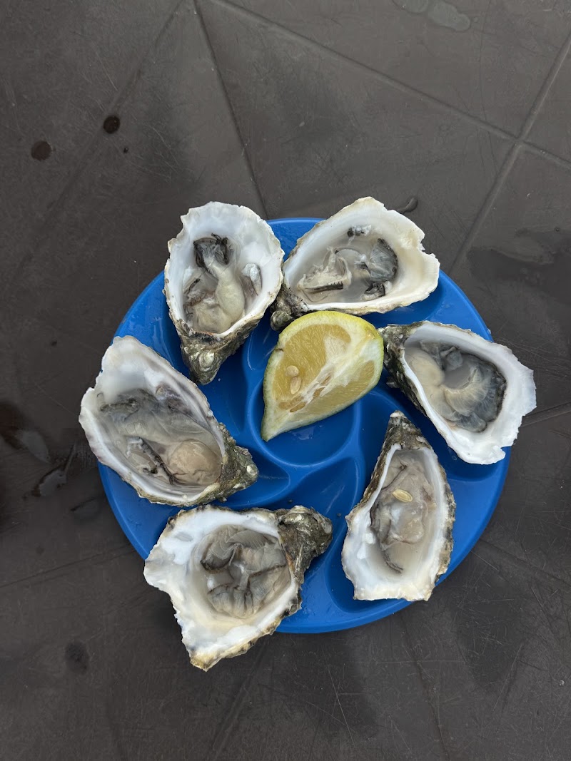 Seafood restaurants in Tamaris