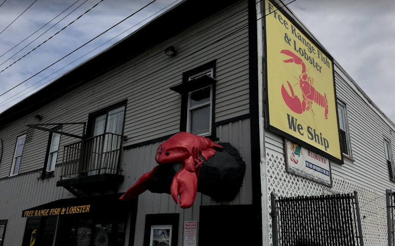 Free Range Fish & Lobster