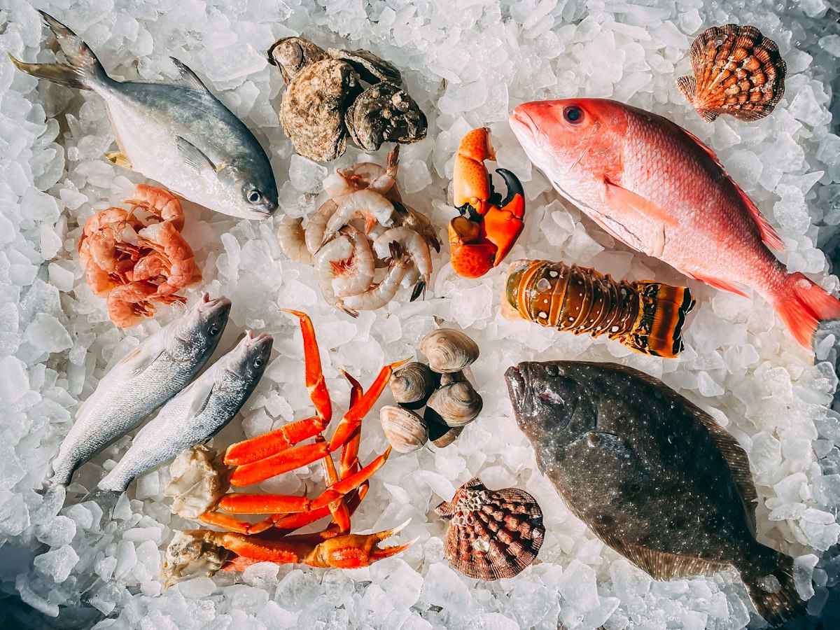 Pier Fish Co