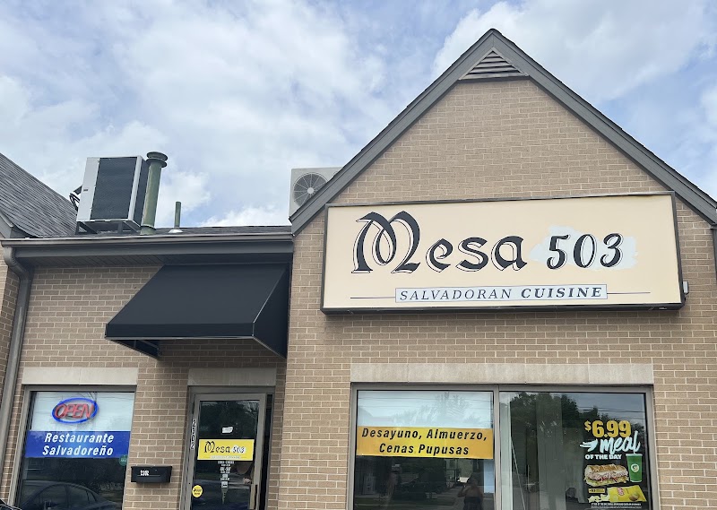 Mesa 503