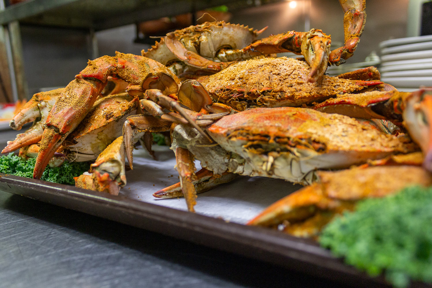 Steamed blue crabs at Riggins Crabhouse, Lantana FL