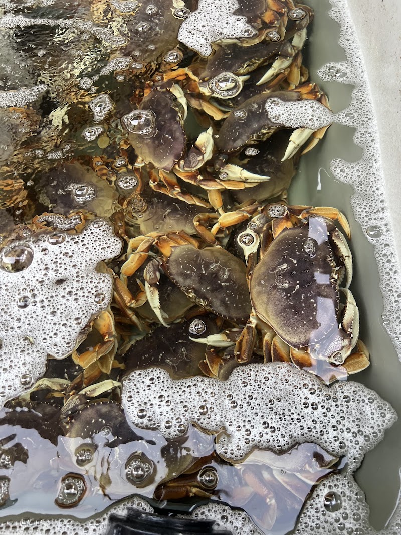 Bounder’s Fresh Crab