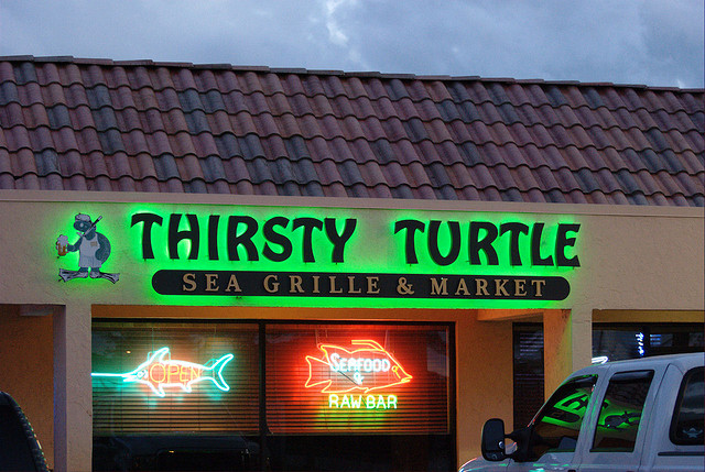 Thirsty Turtle Seagrill