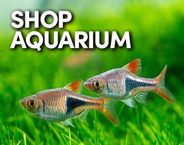 Farnham Fisheries - Fish and Chips