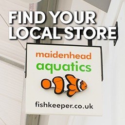 Farnham Fisheries - Fish and Chips