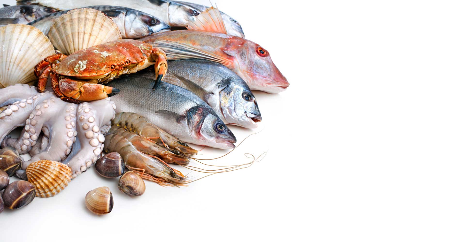 Humber Fish Co