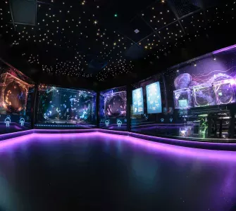 The Deep