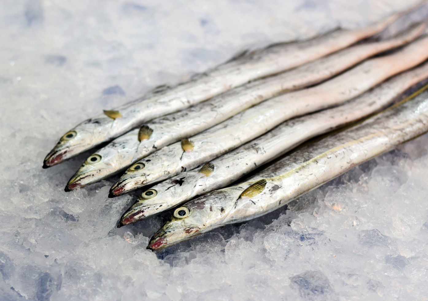 Fish on ice at Fischhaus Ohrmann