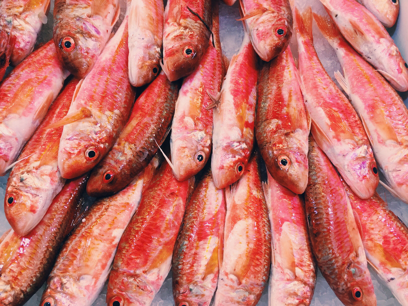 Fresh fish at Fischhaus Ohrmann