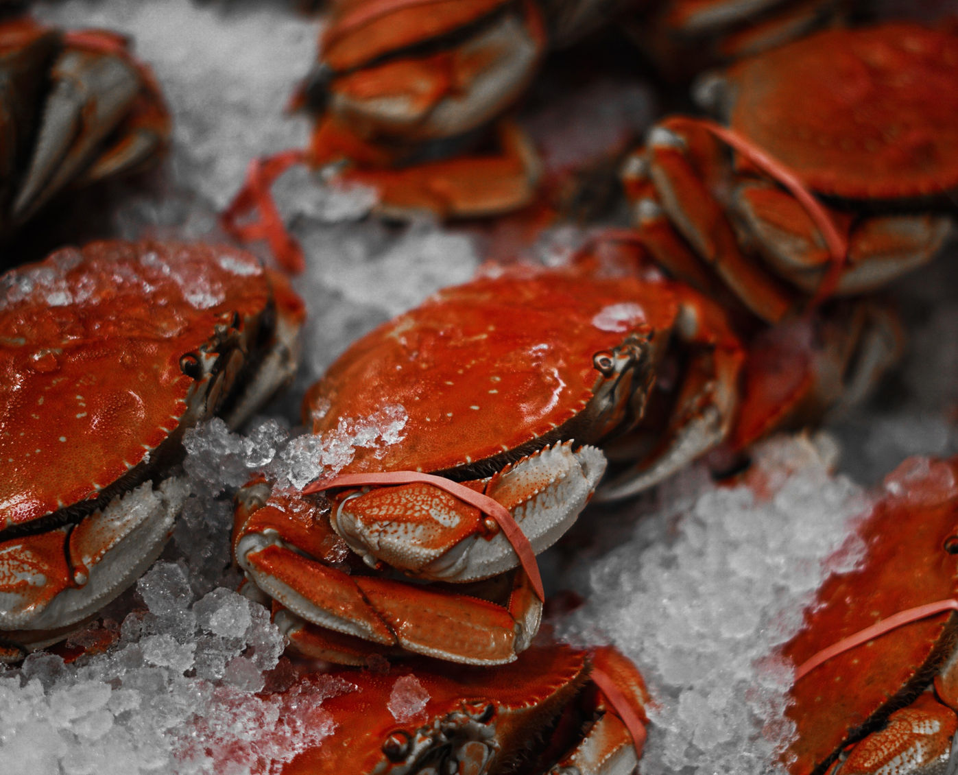 Crab at Fischhaus Ohrmann